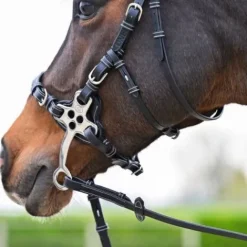 New Bridon Hackamore - Collection One Premium - Jump'In - Cuir italien Mors Et Embouchures