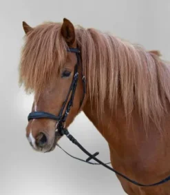 Hot Bridon Hannover muserolle allemande - - Confort optimal Bridons Et Brides·Bridon Cuir