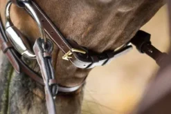 Hot Bridon Anatomic Bridons Et Brides·Bridon Anatomique|Bridons Et Brides·Bridon Cuir