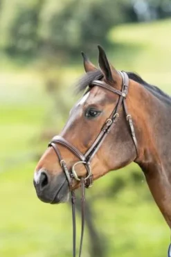 Clearance Bridon   Technical cuir surpiqué Bridons Et Brides·Bridon Cuir