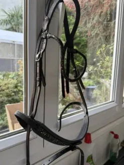 Discount Bridon in horse we trust frontal disco vague parfait Bridons Et Brides·Bridon Anatomique|Bridons Et Brides·Bridon Synthétique