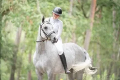 Discount Bridon in horse we trust frontal disco vague parfait Bridons Et Brides·Bridon Anatomique|Bridons Et Brides·Bridon Synthétique