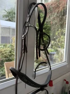 Discount Bridon in horse we trust frontal disco vague parfait Bridons Et Brides·Bridon Anatomique|Bridons Et Brides·Bridon Synthétique