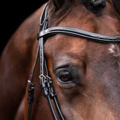 Online Bridon Legacy - Bridons Et Brides·Bridon Cuir