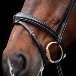 Online Bridon Legacy - Bridons Et Brides·Bridon Cuir