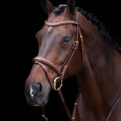 Online Bridon Legacy - Bridons Et Brides·Bridon Cuir