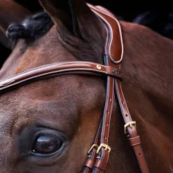 Online Bridon Legacy - Bridons Et Brides·Bridon Cuir