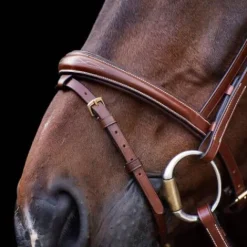 Online Bridon Legacy - Bridons Et Brides·Bridon Cuir