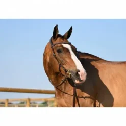 Outlet Bridon Liberty - Collection One - Jump'in Bridons Et Brides·Bridon Cuir|Bridons Et Brides·Bridon Licol