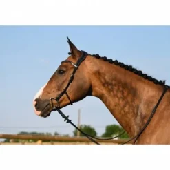 Outlet Bridon Liberty - Collection One - Jump'in Bridons Et Brides·Bridon Cuir|Bridons Et Brides·Bridon Licol