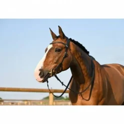 Outlet Bridon Liberty - Collection One - Jump'in Bridons Et Brides·Bridon Cuir|Bridons Et Brides·Bridon Licol