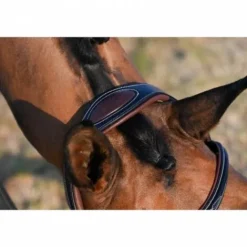 Outlet Bridon Liberty - Collection One - Jump'in Bridons Et Brides·Bridon Cuir|Bridons Et Brides·Bridon Licol