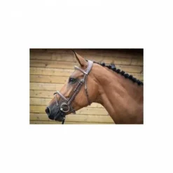 Online Bridon London - Collection One - Jump'in Bridons Et Brides·Bridon Licol|Bridons Et Brides·Bridon Cuir