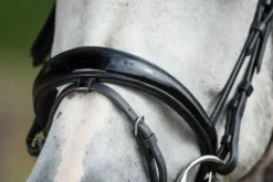 Sale Bridon Luxe Bridons Et Brides·Bridon Cuir