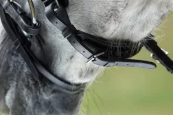 Sale Bridon Luxe Bridons Et Brides·Bridon Cuir