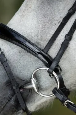 Sale Bridon Luxe Bridons Et Brides·Bridon Cuir