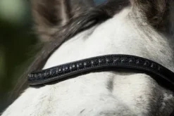 Sale Bridon Luxe Bridons Et Brides·Bridon Cuir