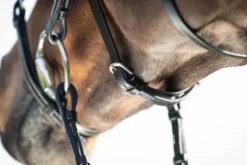 Bridon Mexican Bridons Et Brides·Bridon Cuir