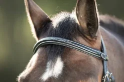 Bridon Mexican Bridons Et Brides·Bridon Cuir