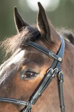 Bridon Mexican Bridons Et Brides·Bridon Cuir