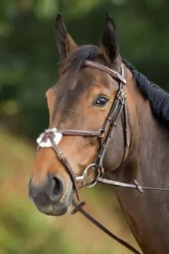 Bridon Mexican Bridons Et Brides·Bridon Cuir