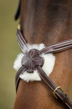 Bridon Mexican Bridons Et Brides·Bridon Cuir