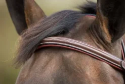 Bridon Mexican Bridons Et Brides·Bridon Cuir