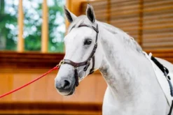 Clearance Bridon Micklem 2 Multi-brides - - Briderie Bridons Et Brides·Bridon Anatomique|Bridons Et Brides·Filet Sans Mors