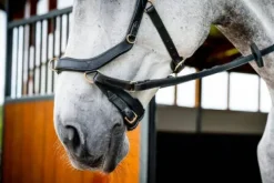 Clearance Bridon Micklem 2 Multi-brides - - Briderie Bridons Et Brides·Bridon Anatomique|Bridons Et Brides·Filet Sans Mors