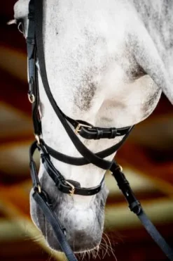 Clearance Bridon Micklem 2 Multi-brides - - Briderie Bridons Et Brides·Bridon Anatomique|Bridons Et Brides·Filet Sans Mors