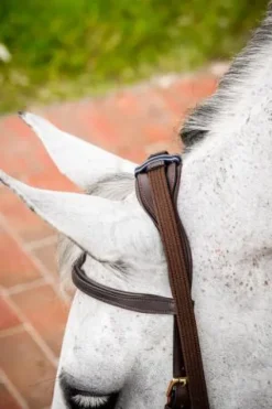 Clearance Bridon Micklem 2 Multi-brides - - Briderie Bridons Et Brides·Bridon Anatomique|Bridons Et Brides·Filet Sans Mors