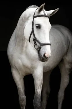 Online Bridon Micklem Deluxe Competition - - cuir anglais Bridons Et Brides·Bridon Cuir