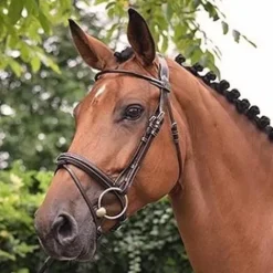 New Bridon Monday muserolle combinée - Collection Week - Bridons Et Brides·Bridon Cuir