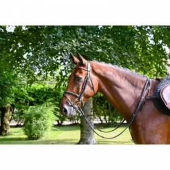 New Bridon Monday muserolle combinée - Collection Week - Bridons Et Brides·Bridon Cuir