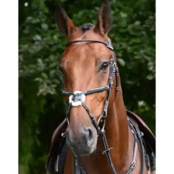 New Bridon Monday muserolle combinée - Collection Week - Bridons Et Brides·Bridon Cuir