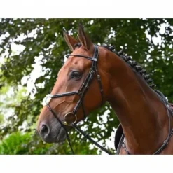 New Bridon Monday muserolle combinée - Collection Week - Bridons Et Brides·Bridon Cuir