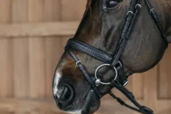 Online Bridon muserolle pull back tressée - Dy'on Bridons Et Brides·Bridon Cuir