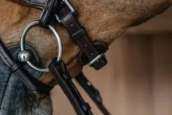 Online Bridon muserolle pull back tressée - Dy'on Bridons Et Brides·Bridon Cuir