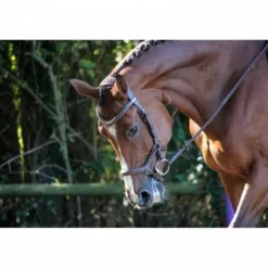 Outlet Bridon New York - Collection One - Jump'in Bridons Et Brides·Bridon Licol|Bridons Et Brides·Bridon Cuir