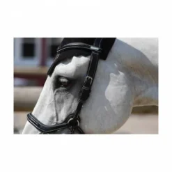 Outlet Bridon New York - Collection One - Jump'in Bridons Et Brides·Bridon Licol|Bridons Et Brides·Bridon Cuir