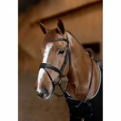 Best Bridon padded - anatomique rembourré, cuir souple Bridons Et Brides·Bridon Anatomique|Bridons Et Brides·Bridon Cuir