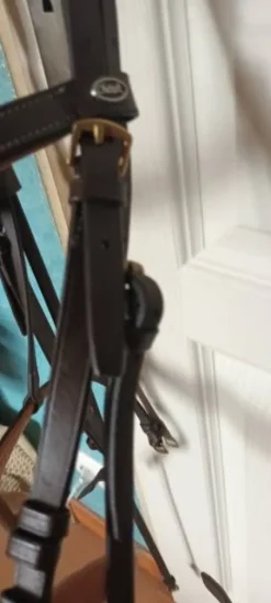 Bridon poney Bridons Et Brides·Bridon Cuir