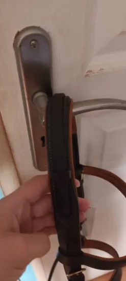 Bridon poney Bridons Et Brides·Bridon Cuir