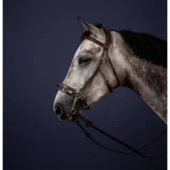 New Bridon pour hackamore New English Collection - Dy'on Mors Et Embouchures