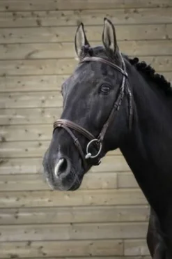 New Bridon pro fin - Bridons Et Brides·Bridon Cuir