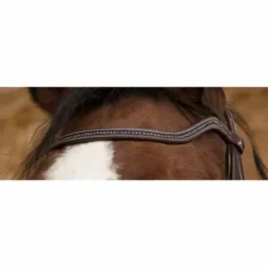 Bridon Pro Perle Marron - Bridons Et Brides·Bridon Cuir