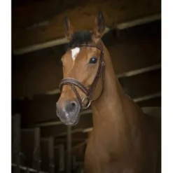 Best Bridon Pro Rock Marron - Bridons Et Brides·Bridon Cuir