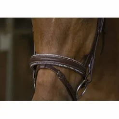 Best Bridon Pro Rock Marron - Bridons Et Brides·Bridon Cuir