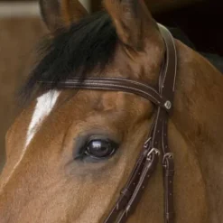 Best Bridon Pro Rock Marron - Bridons Et Brides·Bridon Cuir