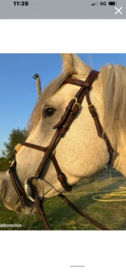 New Bridon équipe emporio Bridons Et Brides·Bridon Cuir